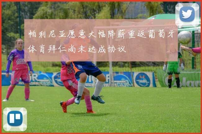 帕利尼亚愿意大幅降薪重返葡萄牙体育拜仁尚未达成协议
